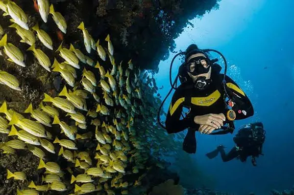 Diving