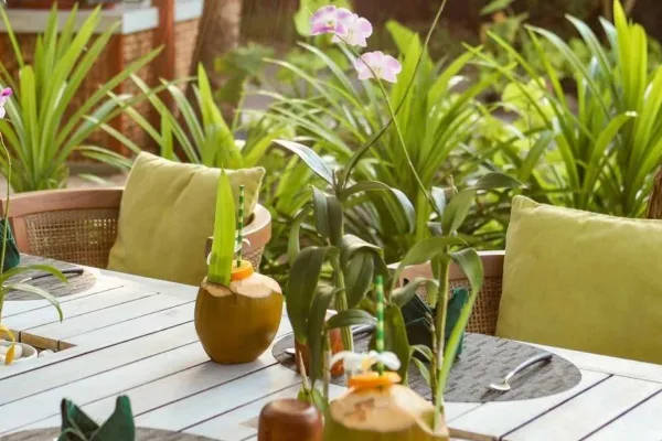 Organic Garden Dining