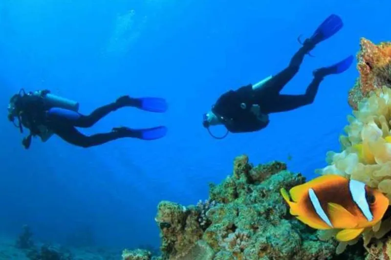 Diving