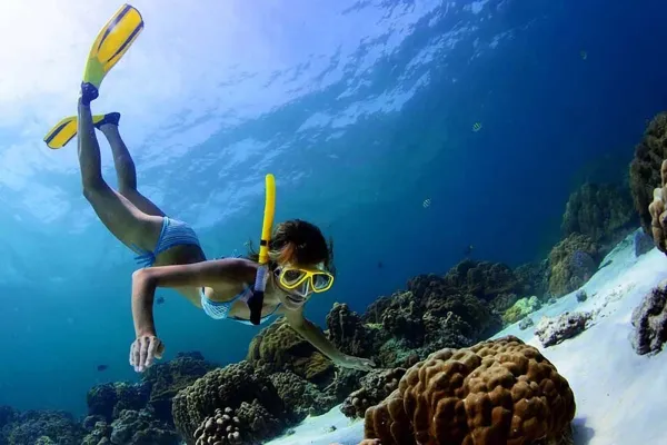 Snorkeling Trips