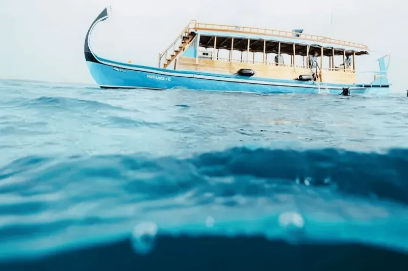 Maldivian Walk of Life