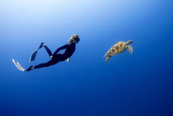 Silver Sands - Dive Centre & Water Sports