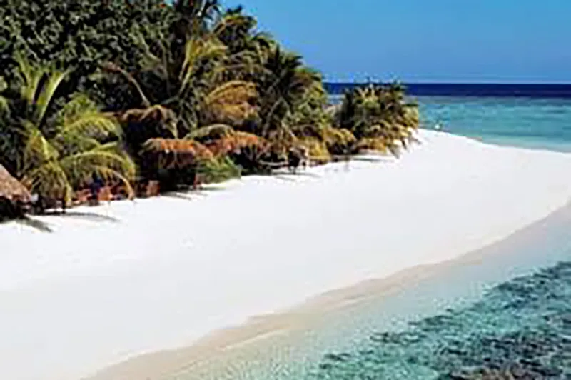 Guided Island Tour