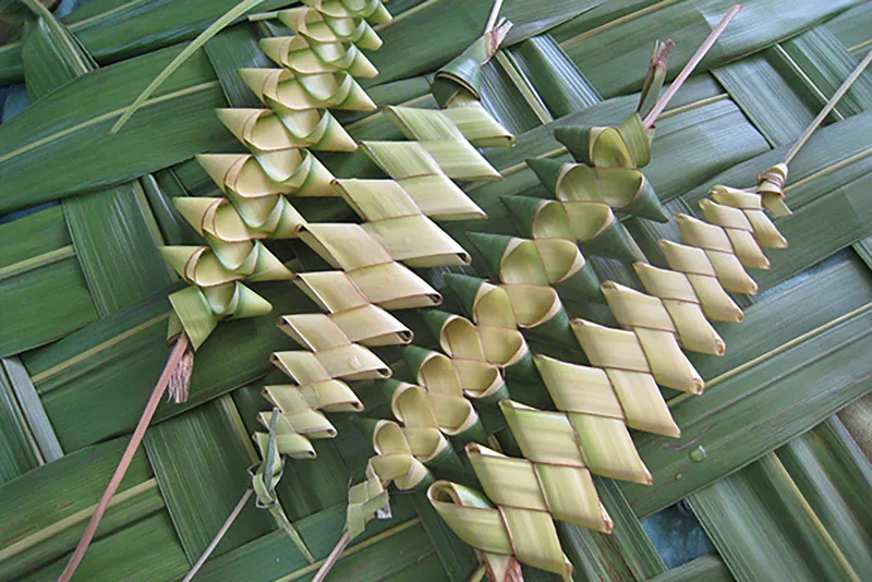 Palm Leaf Weaving