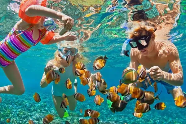 Point Snorkeling