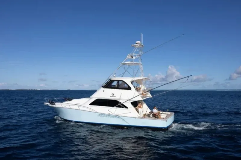 Ocean Excursions