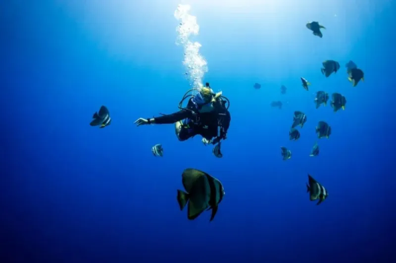 Scuba Diving