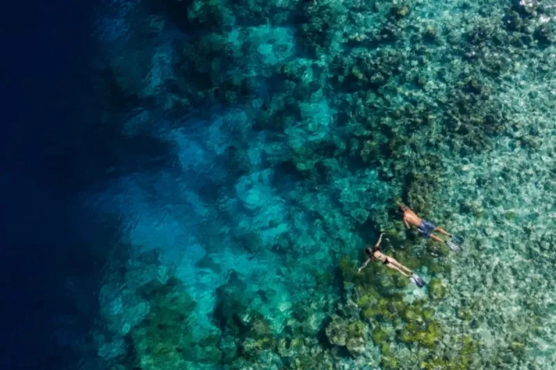 Snorkeling 