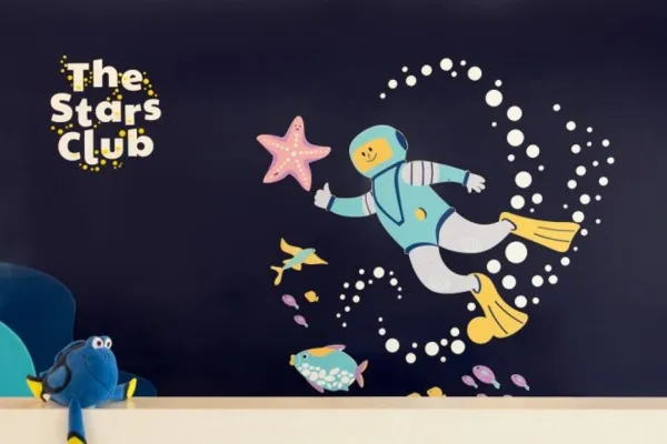 The Stars club