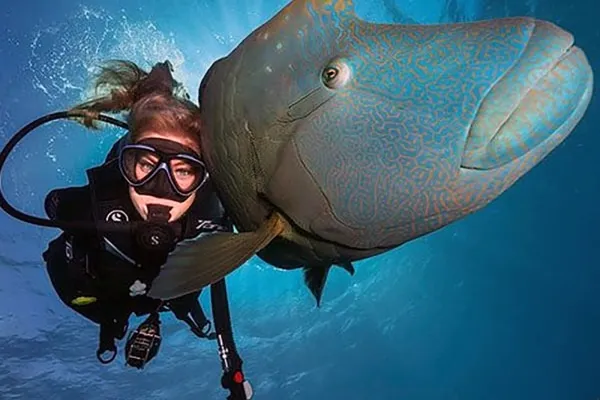 Discover Scuba Diving