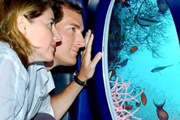 Tourist Submarine Excursion