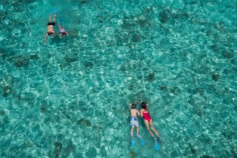 Snorkeling