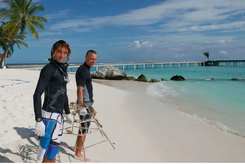 Marine Biologist Programs