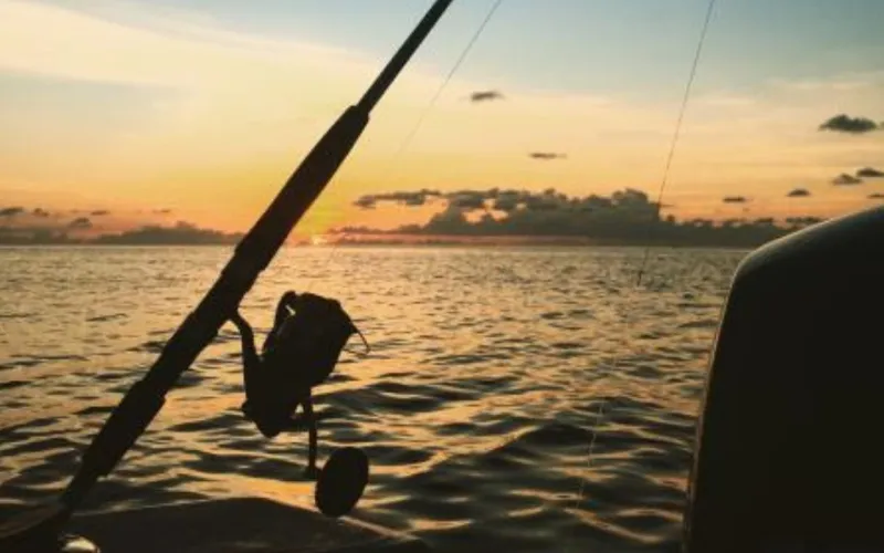 Sunset Fishing