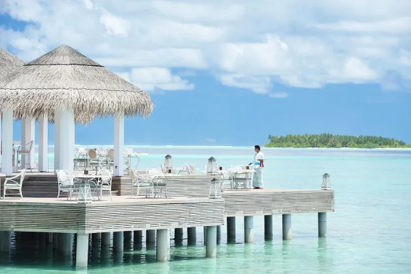 Ocean breeze