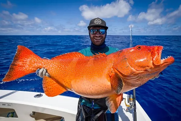 Big Game Fishing