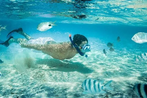 Two Point Snorkeling