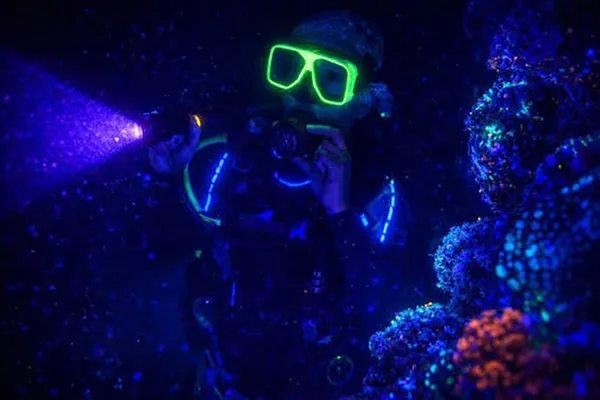 UV Light Night Snorkeling