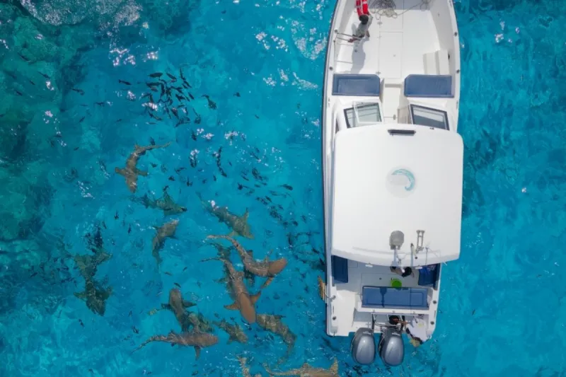Snorkeling Adventure