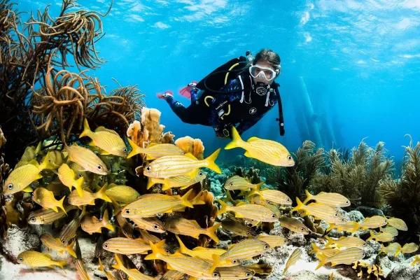 Scuba Diving