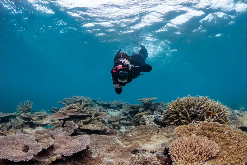Snorkeling and Scuba Diving