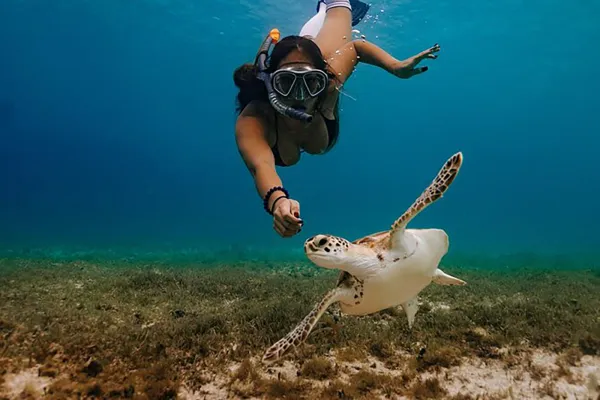 Full Day Snorkeling