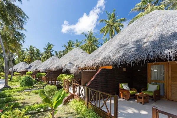  Island Coffee Shop