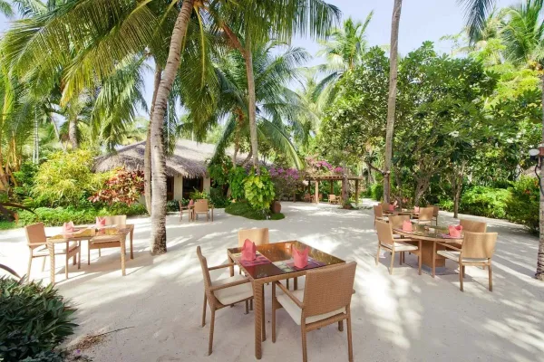  Island Coffee Shop