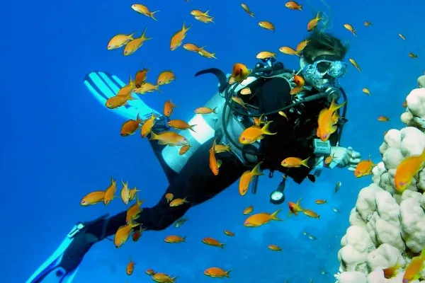 Diving