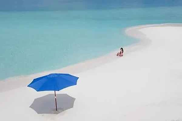 Sandbank Trips