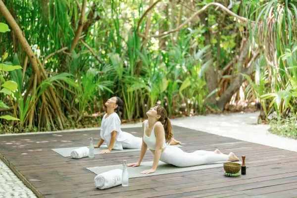 Yoga & Meditation