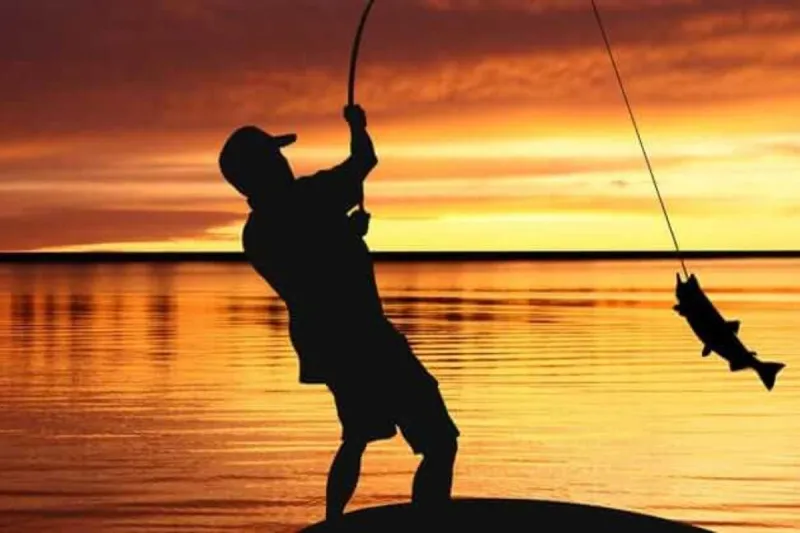 Sustainable Fishing