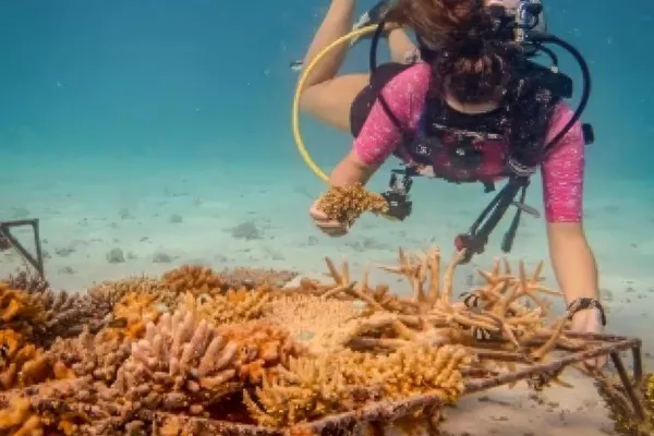Guided Snorkeling with our Marine Dive Center