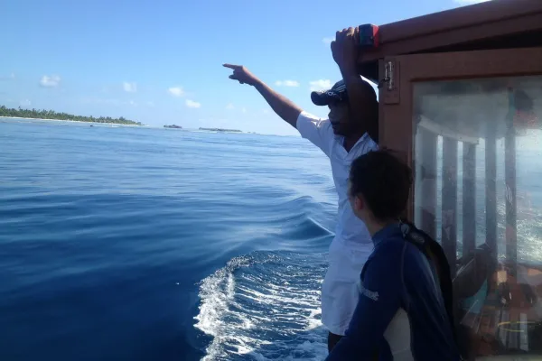 Dolphin Cruise