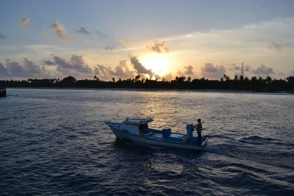 Sunset Fishing