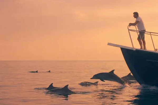 Dolphin Cruise