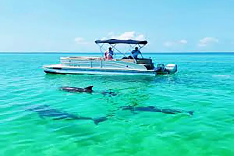 Picnic to Shell Island Combined with Dolphin Cruise