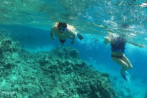 Full Day Snorkeling Adventure
