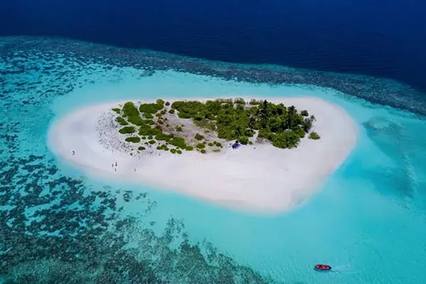 Picnic Island Trip