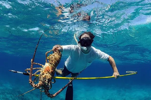 Spearfishing