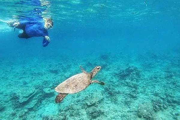 Snorkeling Excursions