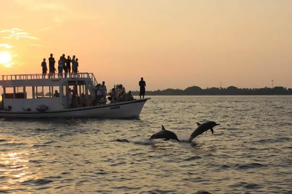 Sunset Cruise
