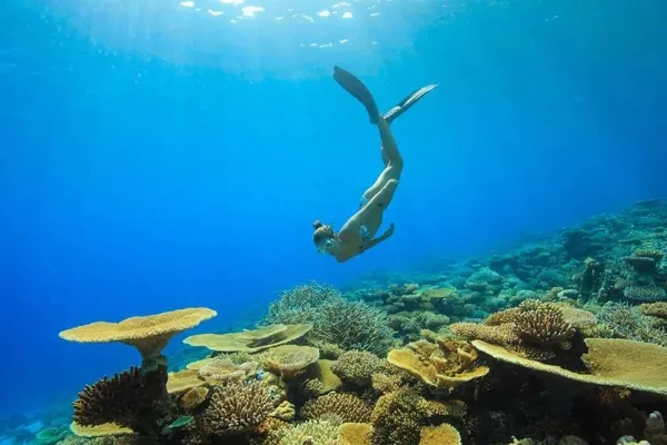 Snorkelling