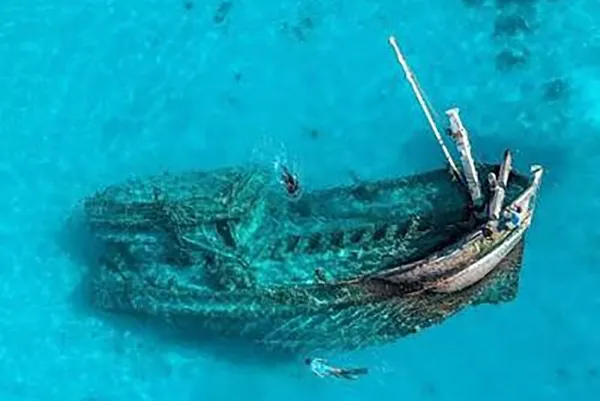 Snorkeling with Sharks & Shipwreck
