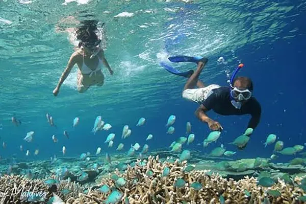 Snorkeling Trips