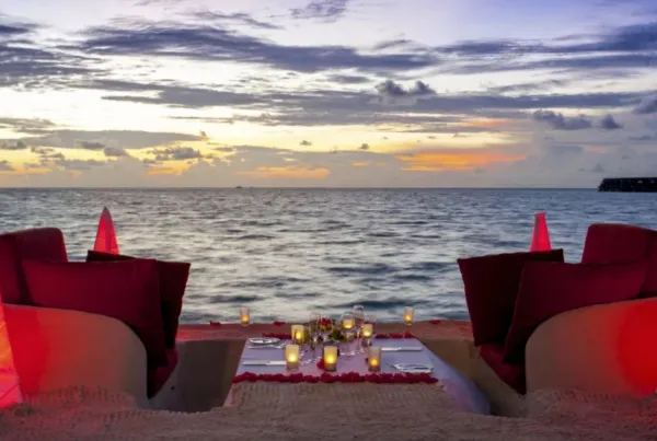 Sand Sofa Dinner