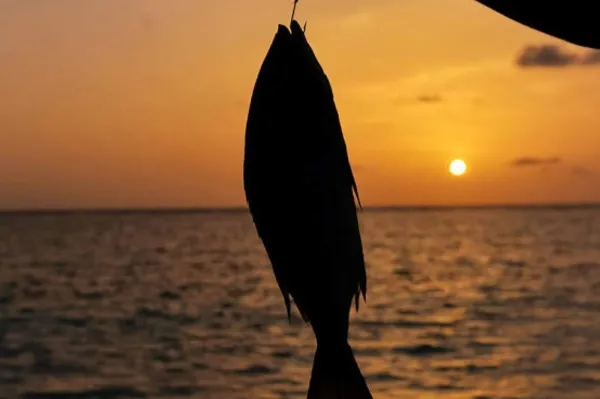 Fishing: Cast a Line, Catch the Moment