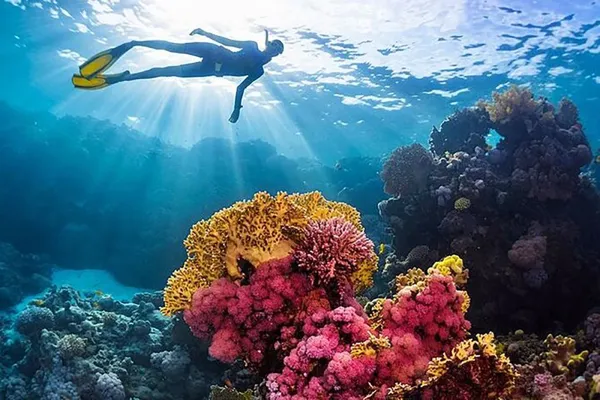 Coral Garden Snorkeling
