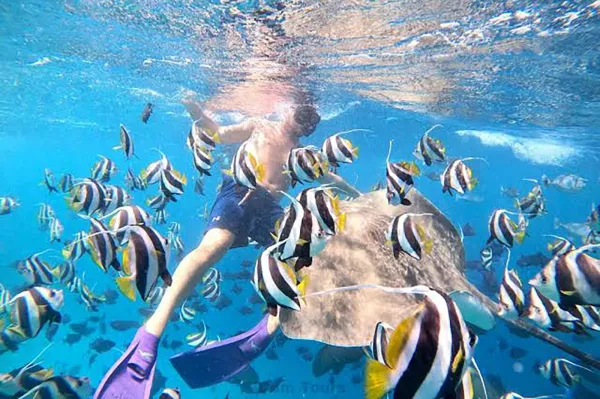 Fish Bank Snorkeling