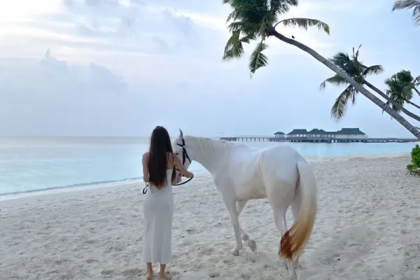 Horse Ranch